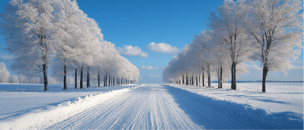 Header january