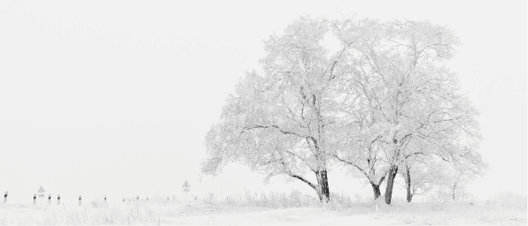 Header january